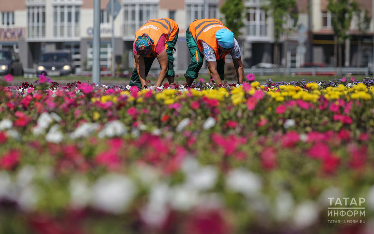 «Площади без цветов, как праздник без музыки»: Казань летом украсят по примеру Москвы
