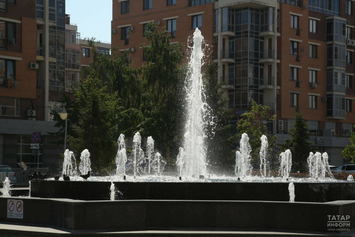 Кинолог предупредил об опасности для собак купания в городских фонтанах