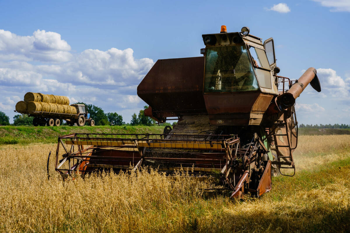 В Татарстане планируют собрать 4,2 млн тонн зерна и 1,8 млн тонн свеклы