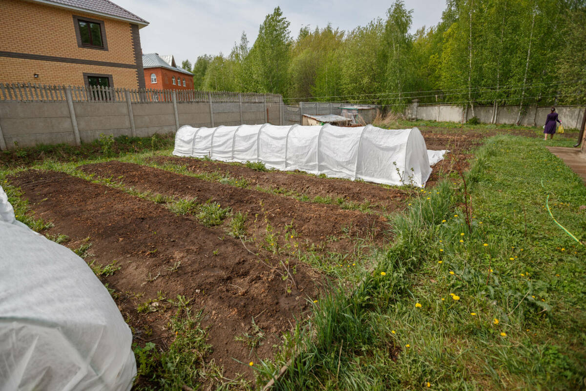 В Татарстане проведут горячую линию для владельцев земельных участков