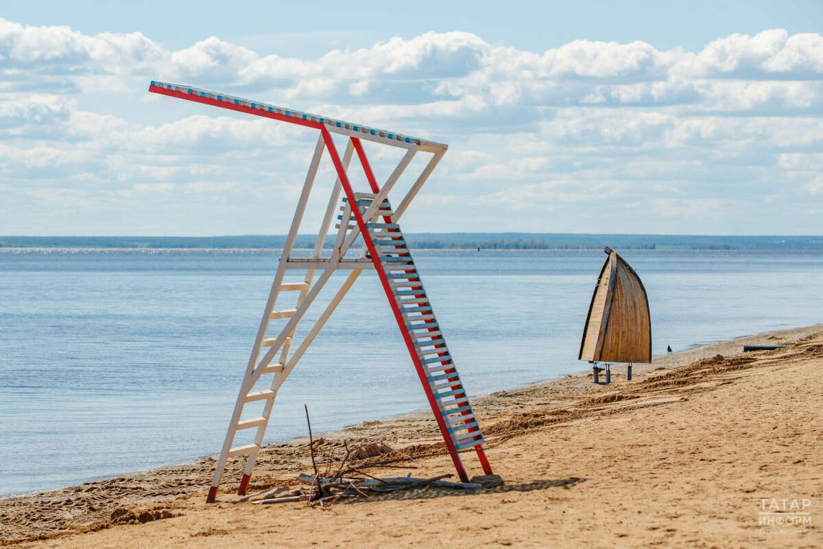 Животных не пустят на пляжи по новым правилам МЧС