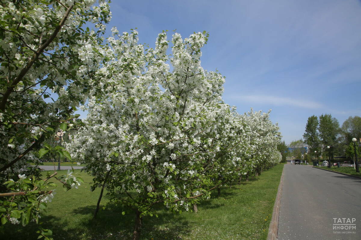 Сегодня завершается голосование за благоустройство общественных пространств в 2026 году