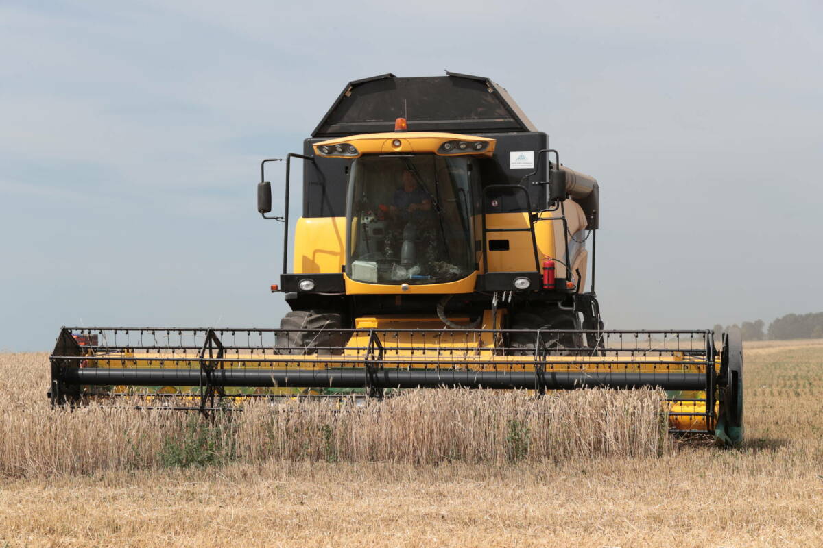 Аграрии трех районов Татарстана приступили к уборке зерновых культур