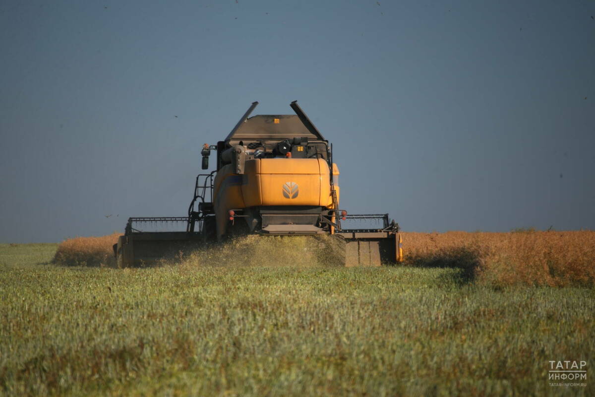 Татарстан два года лидирует в российских рейтингах цифровой трансформации АПК