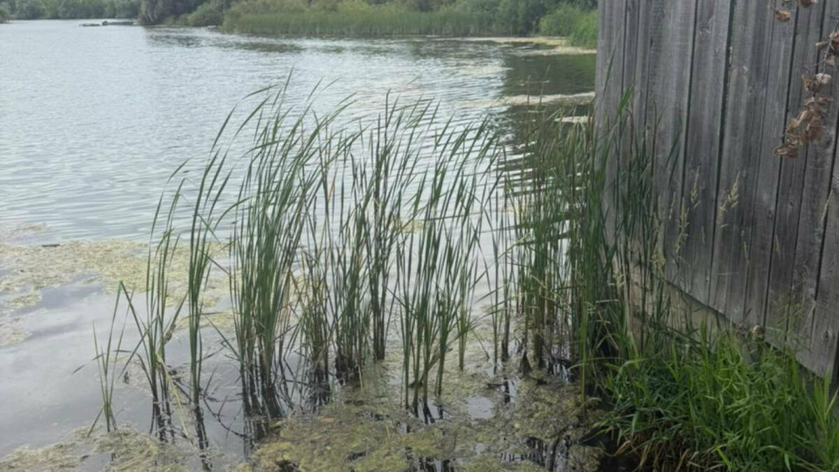 Минэкологии РТ зафиксировало новые нарушения доступа к реке Казанка