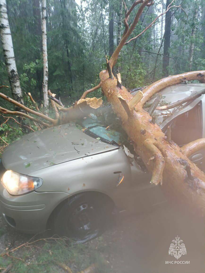 Пожарные освободили машины от упавших деревьев по дороге в Раифу