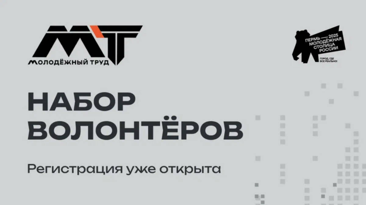 Объявлен набор волонтеров на финал нового общественного проекта ПФО «МолоТ»