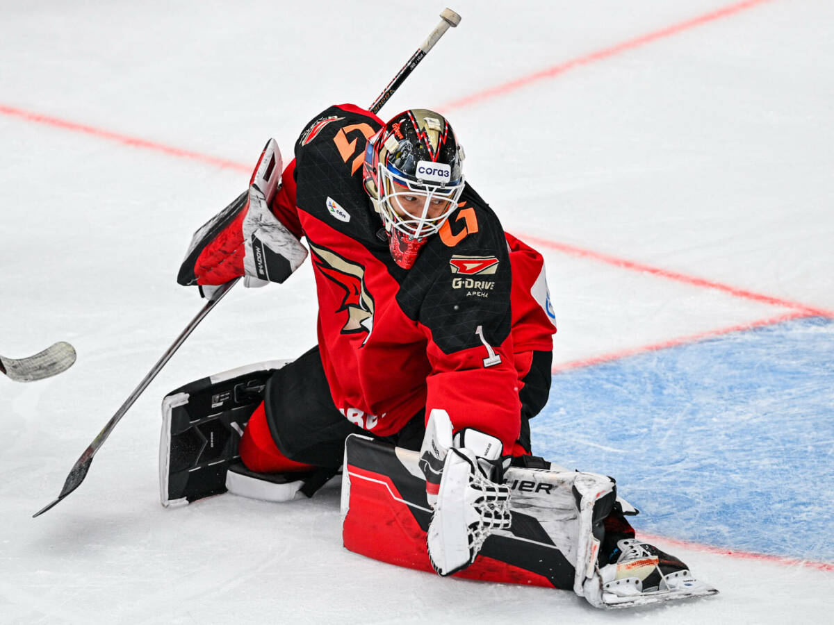 На безрыбье и Бердин неплохой вариант: стоит ли «Ак Барсу» брать экс-вратаря «Авангарда»