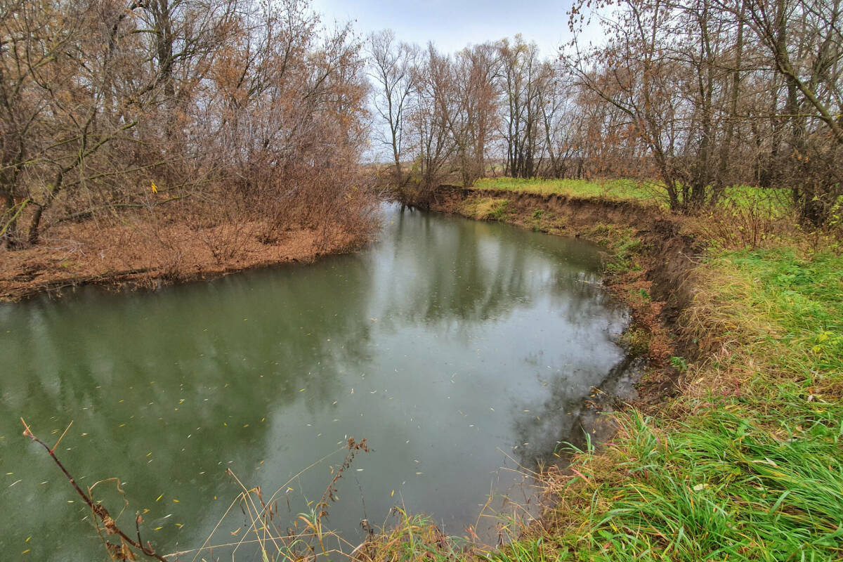 Вторая жизнь реки: как «Свободный ток» помогает Казанке очиститься от завалов и мусора