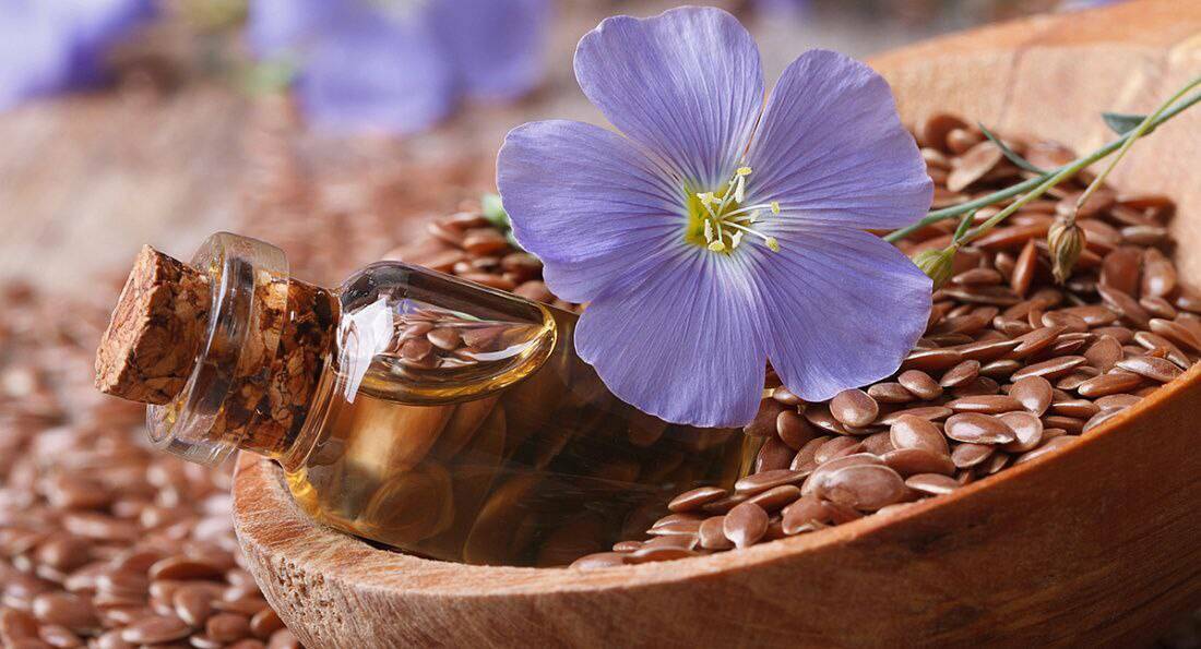 Татарстан увеличил объем исследований экспортного масличного льна в 1,5 раза