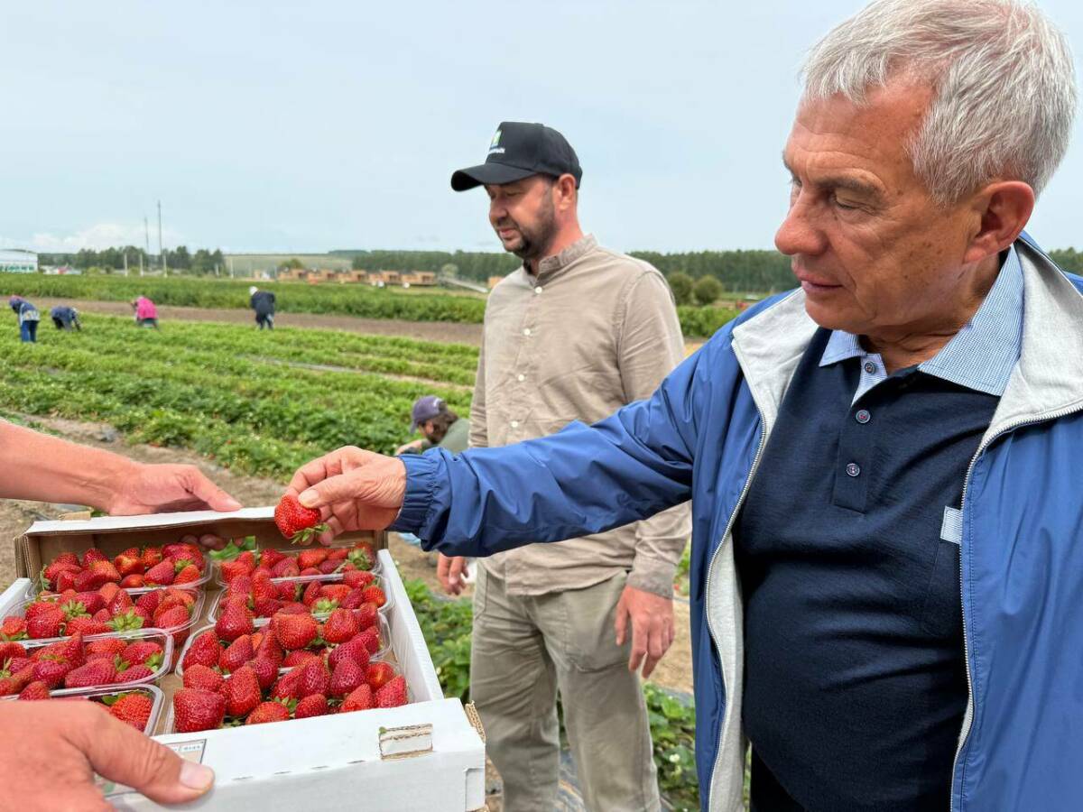 Рустам Минниханов посетил «Ягодную долину» в Зеленодольском районе