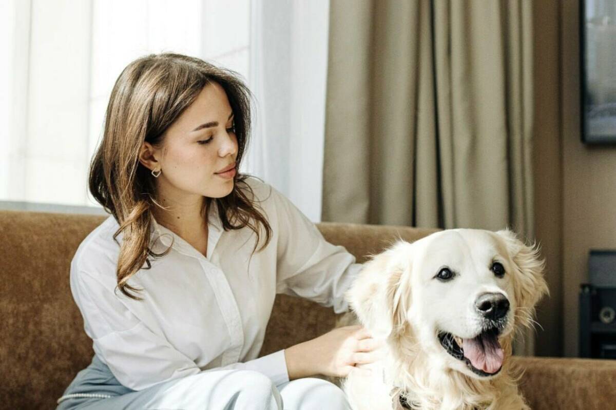 С животными можно: отель «Ривьера» получил сертификат «Путешествия с питомцами»