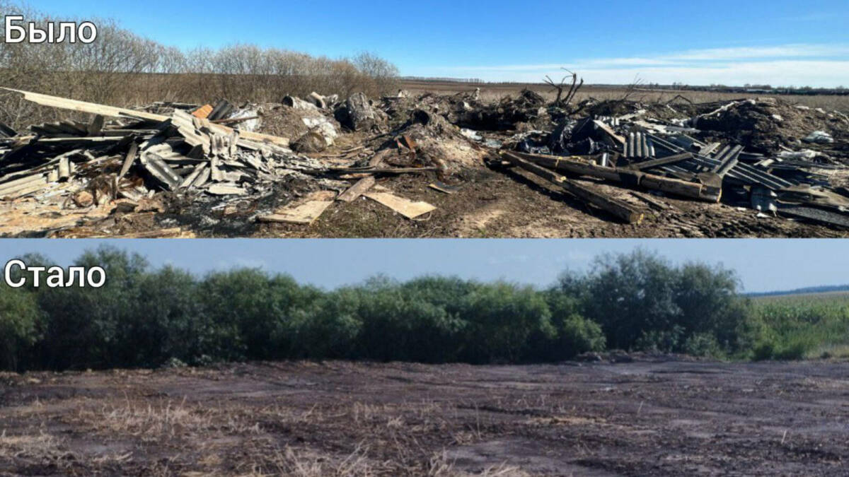 В Арском районе ликвидировали несанкционированную свалку