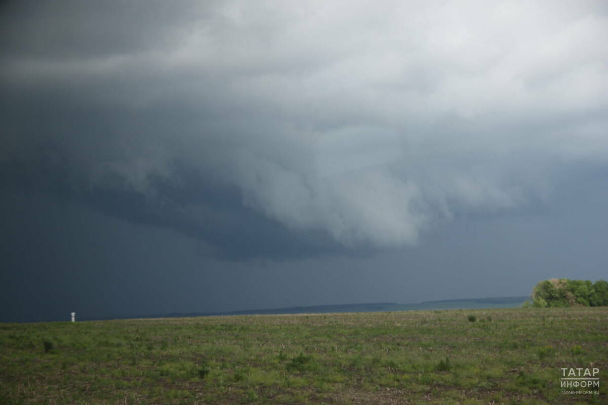 Татарстанцев предупредили о сильном дожде и тумане в ближайшие сутки