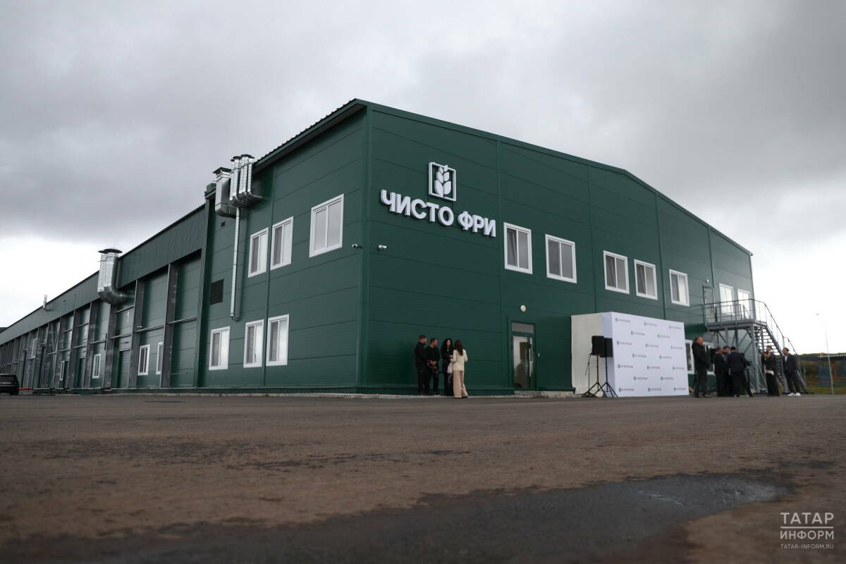 «Люди предпочитают готовый продукт»: в Татарстане теперь производят картофель фри