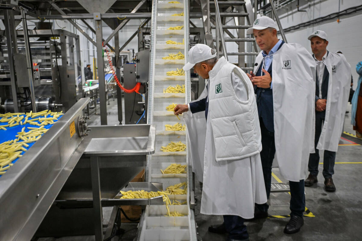 «Люди предпочитают готовый продукт»: в Татарстане теперь производят картофель фри