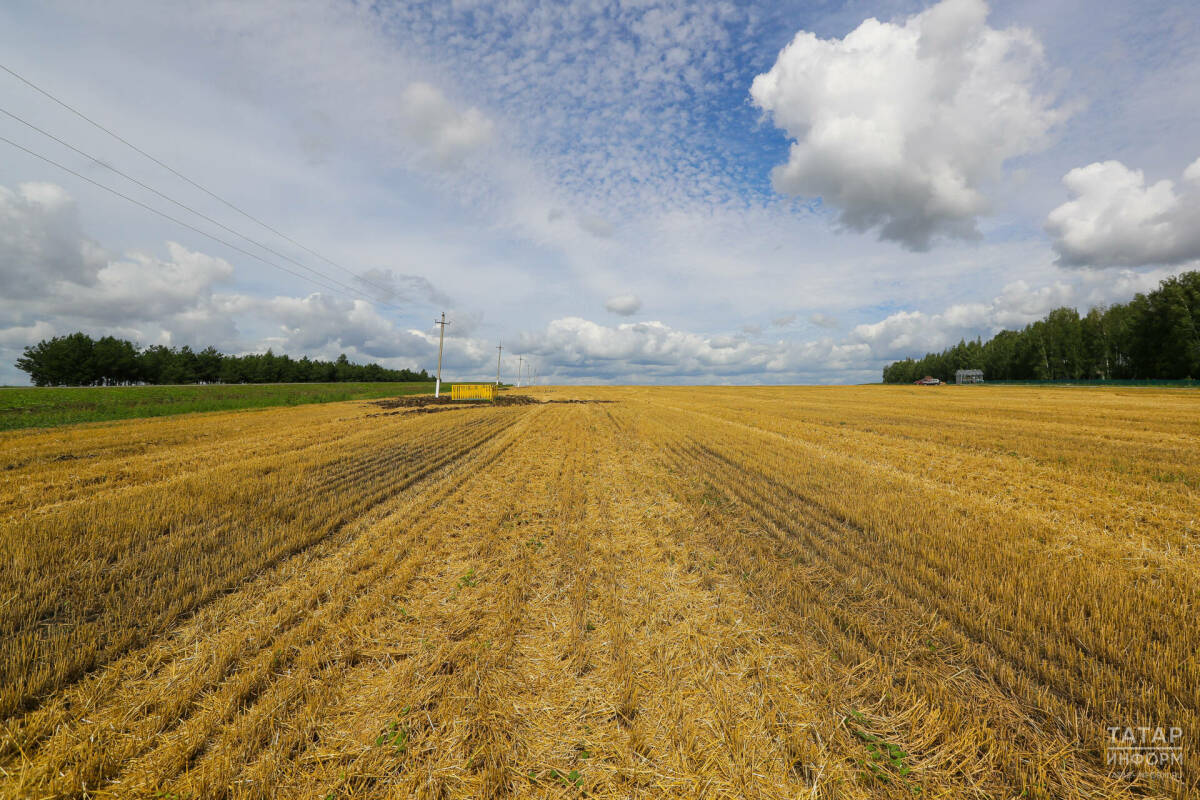Зяббаров: На пяти метеостанциях в Татарстане зафиксировано переувлажнение почвы