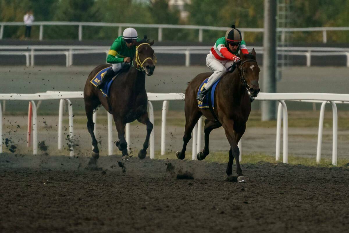 Всероссийские скачки, визит Раиса РТ: как в Казани прошел День города и Республики