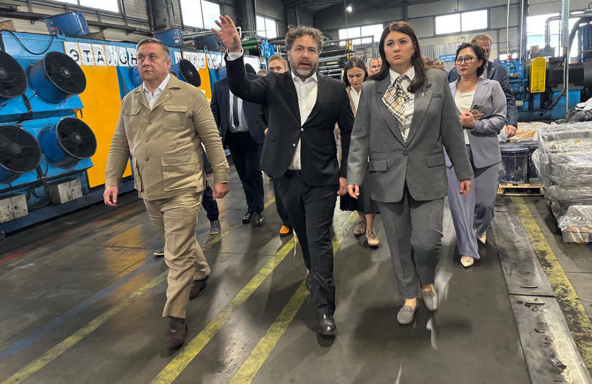 Инвестдесант Минуллиной в Высокой Горе: «Деревня хоббитов» и судьба подвисших проектов