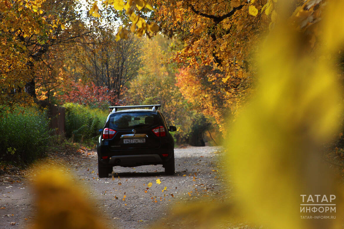 Автоюрист Славнов объяснил, когда за занятие любовью в машине посадят в тюрьму на 8 лет