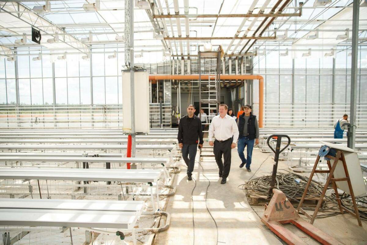 В Мамадышском районе откроют первый в Татарстане розарий промышленного масштаба