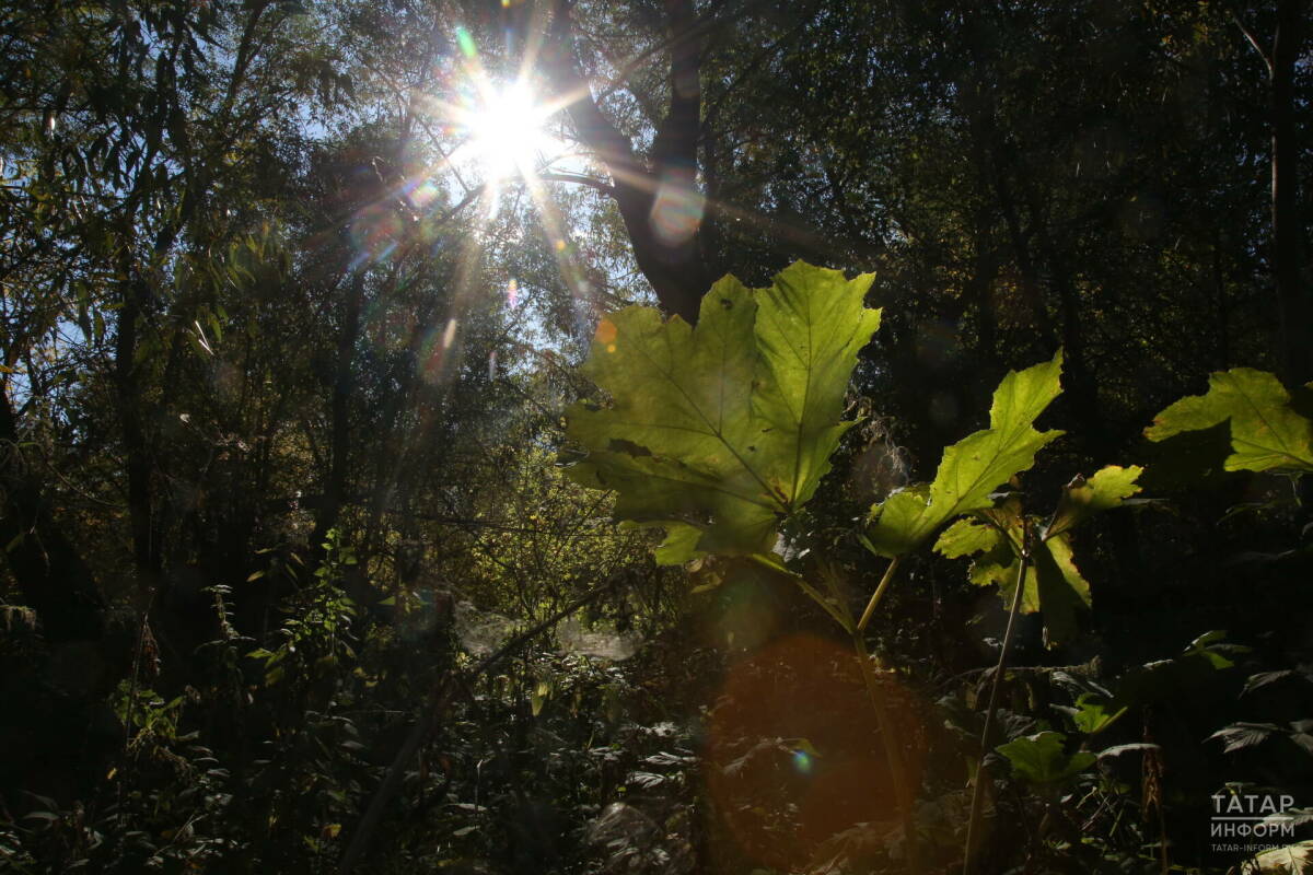 Синоптик Ильин спрогнозировал теплую погоду в Татарстане в выходные