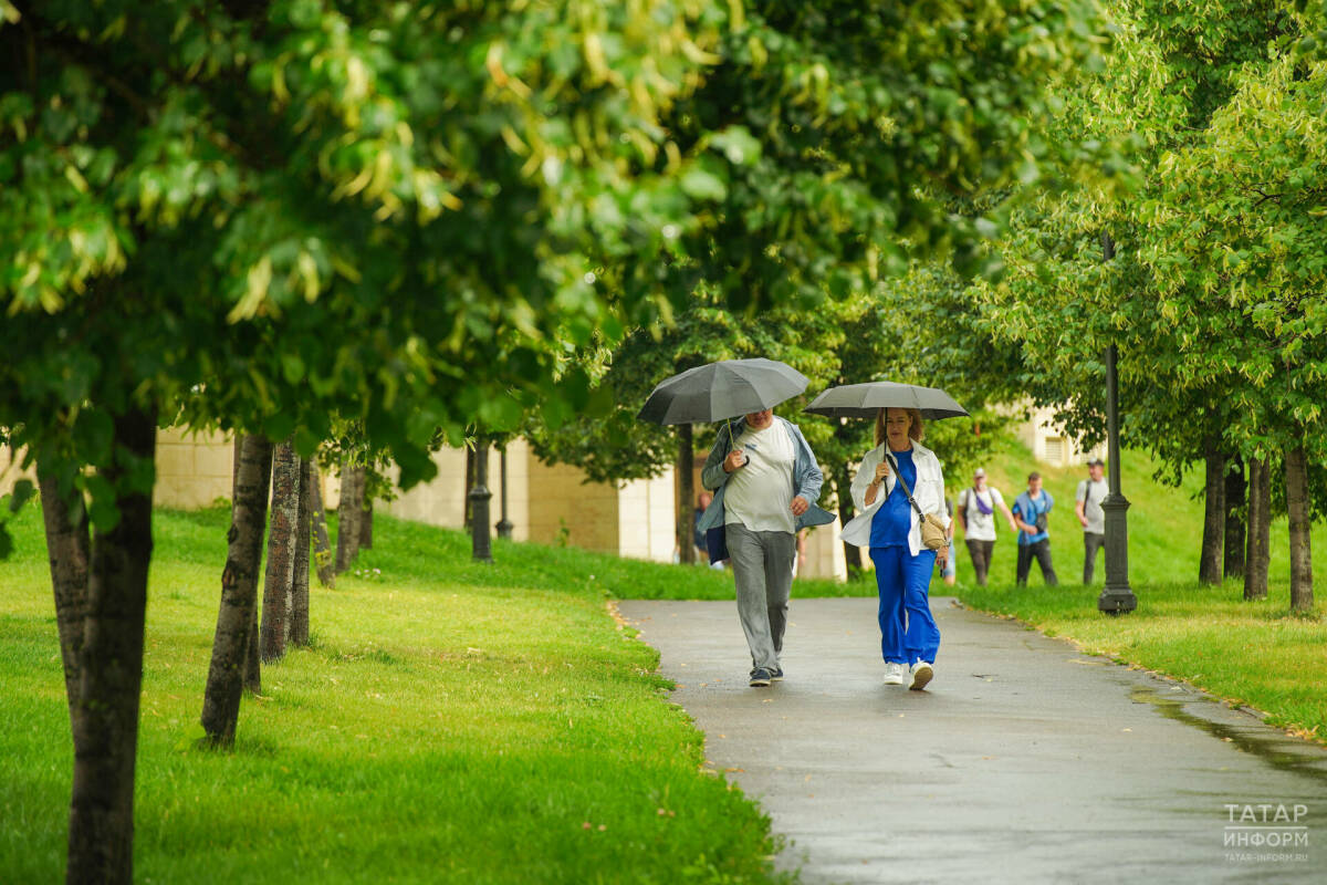 Небольшой дождь и порывистый ветер ожидаются в Татарстане 21 сентября