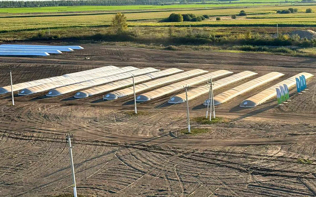 Новые технологии в сельском хозяйстве: как полимеры сохраняют зерно до 1,5 года