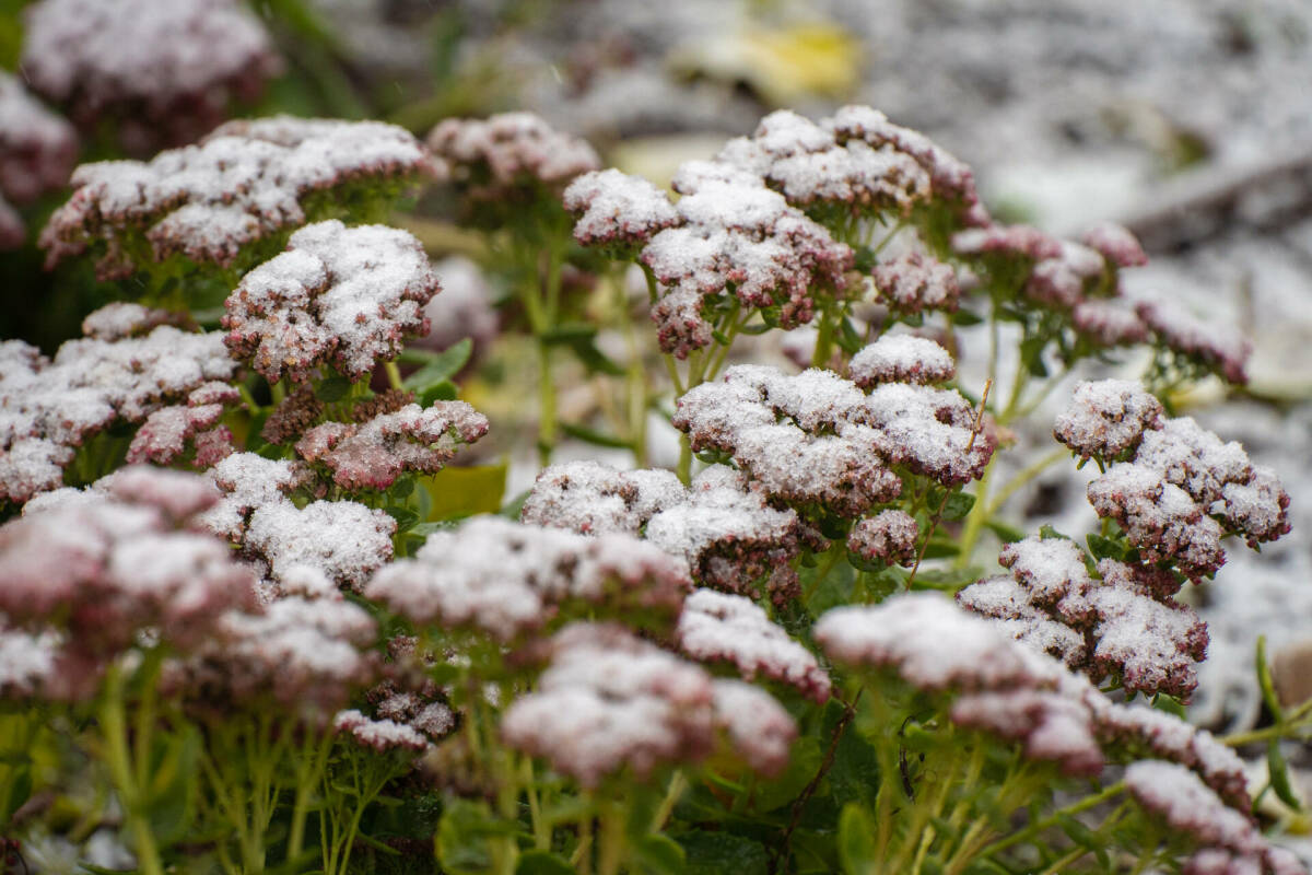 Гидрометцентр РФ предупредил о заморозках в Поволжье до -5 градусов