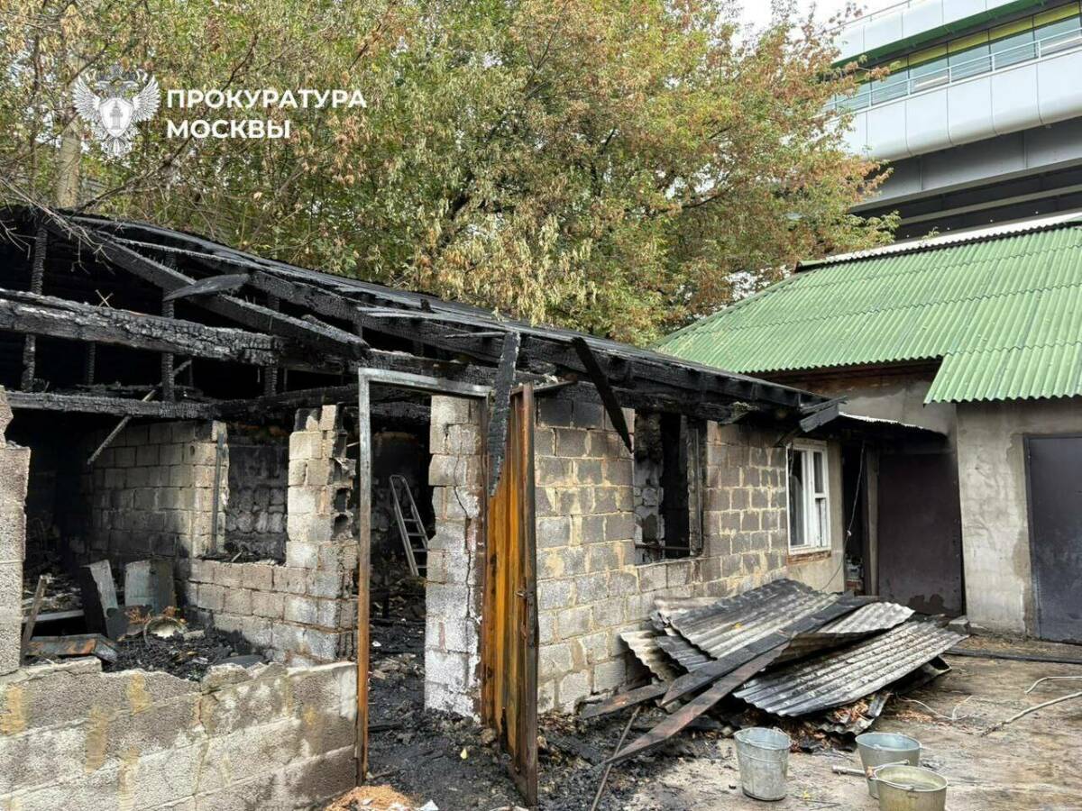 В Москве на пожаре в приюте для животных погибли 13 собак