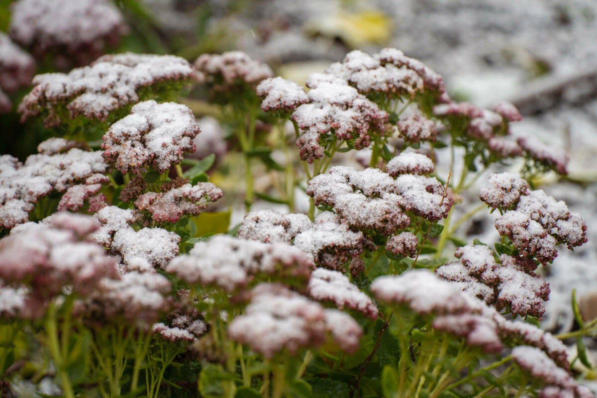 Татарстанцев предупредили о заморозках до −2° в ближайшие сутки