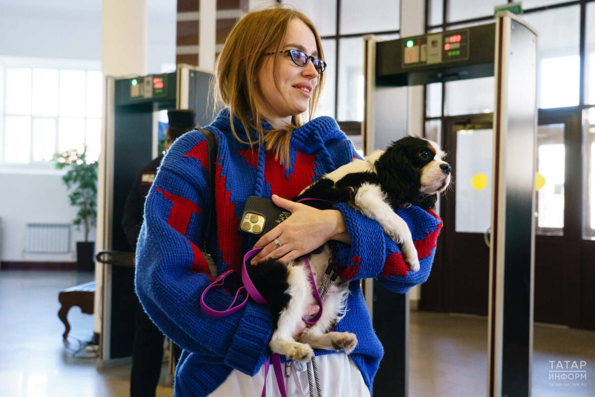 В Госдуму внесли проект об обязательной маркировке некоторых домашних животных