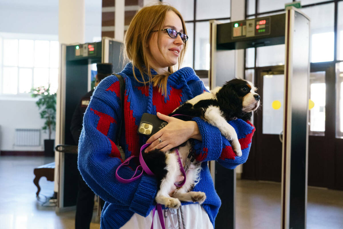 В Госдуму внесли проект об обязательной маркировке некоторых домашних животных