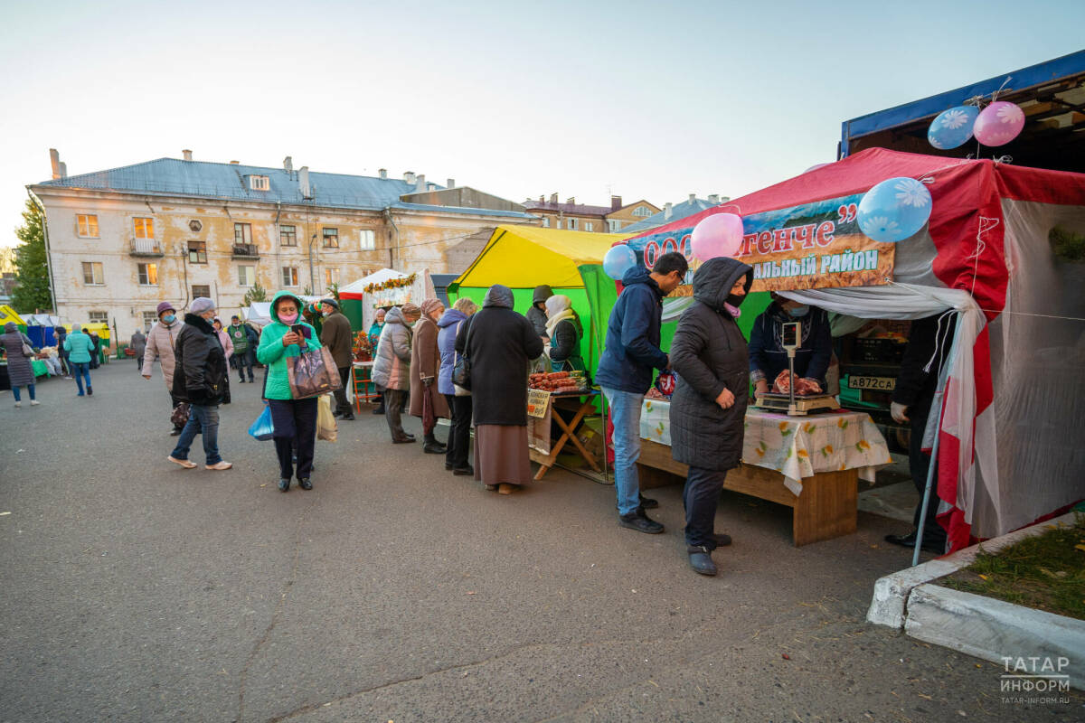 В Татарстане 13 сентября начнут работу сельхозярмарки