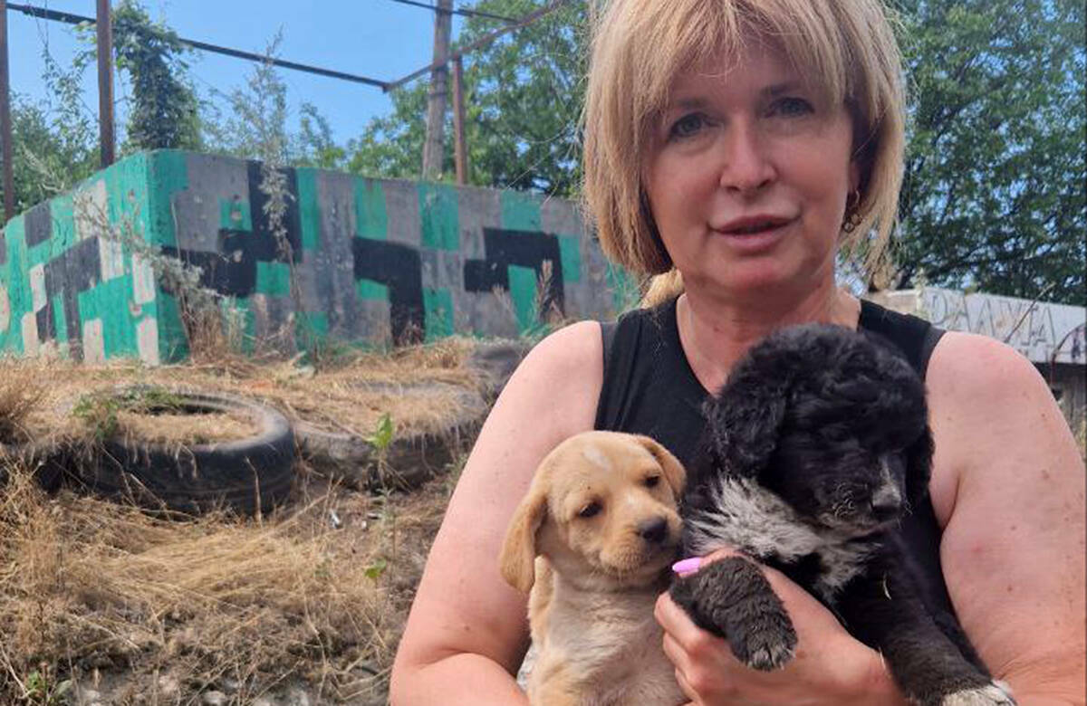 «Они обречены на мучительную смерть»: как казанские зооволонтеры вывозят собак с Донбасса