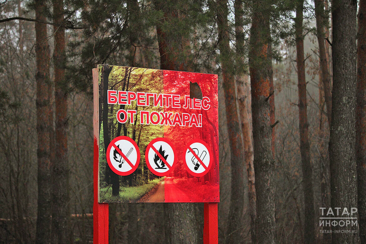 В Татарстане ввели штормовое предупреждение из-за высокой пожароопасности лесов