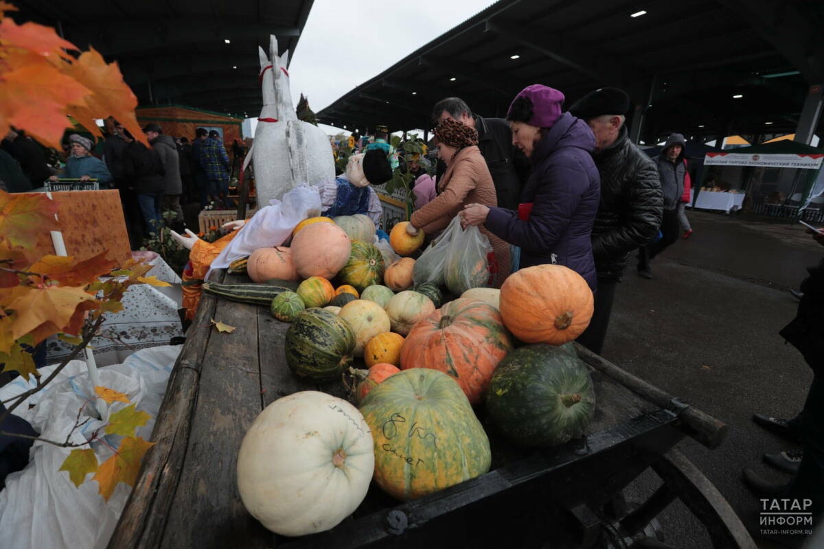 В 2025 году на сельхозярмарках в Татарстане реализовали продукции на 2 млрд рублей