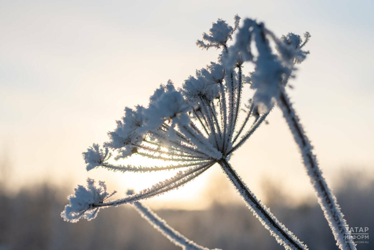 Небольшое похолодание ожидается в Татарстане в середине января