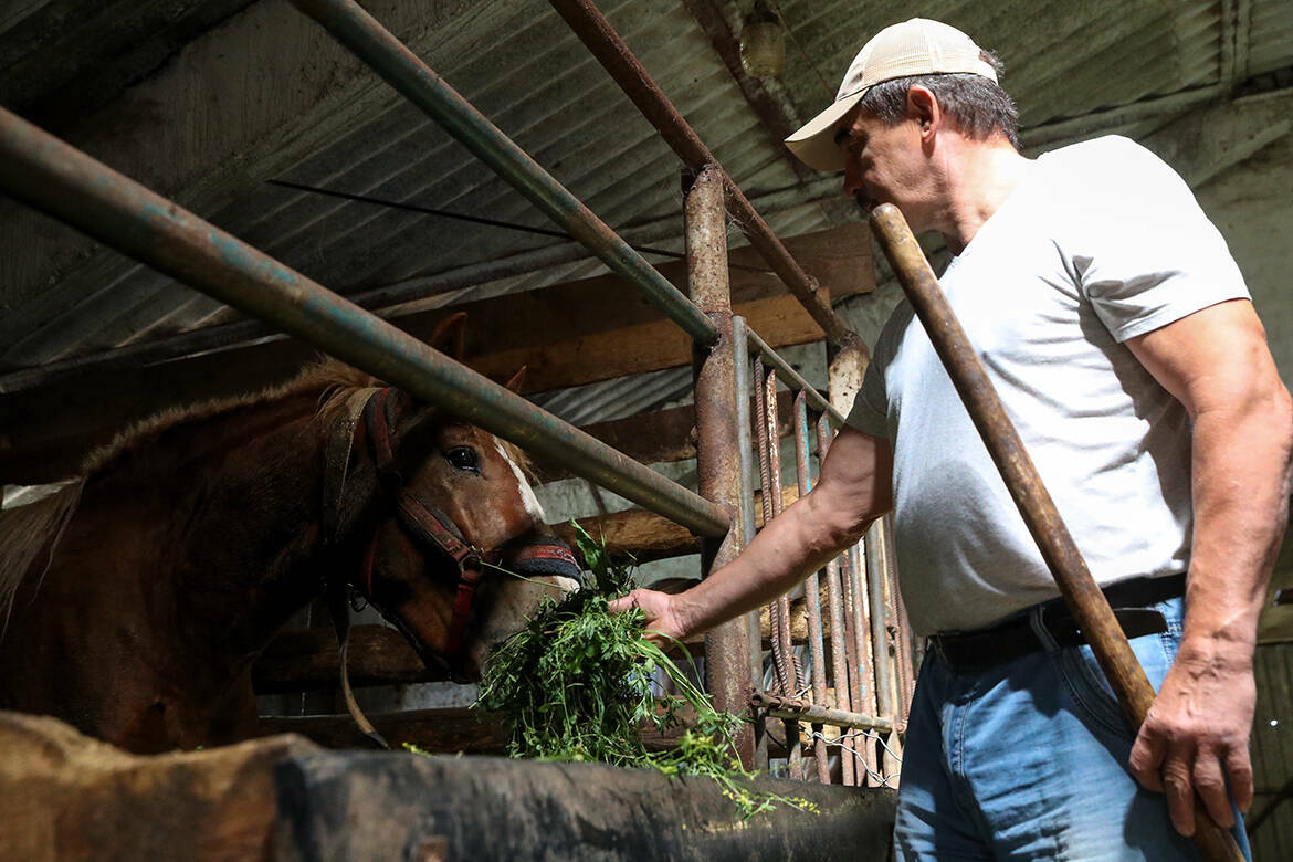 Около 5 млрд рублей за 10 лет: в Татарстане увеличат поддержку личных подсобных хозяйств