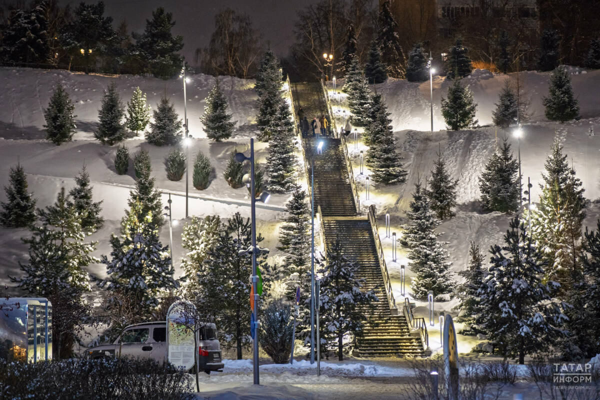 За год страховой фонд семян лесных растений Татарстана увеличился на 72 кг