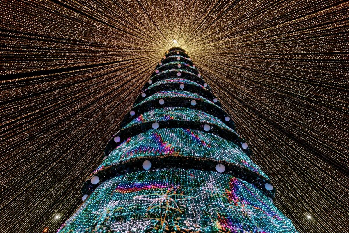 Центральную елку Казани начнут разбирать 15 января