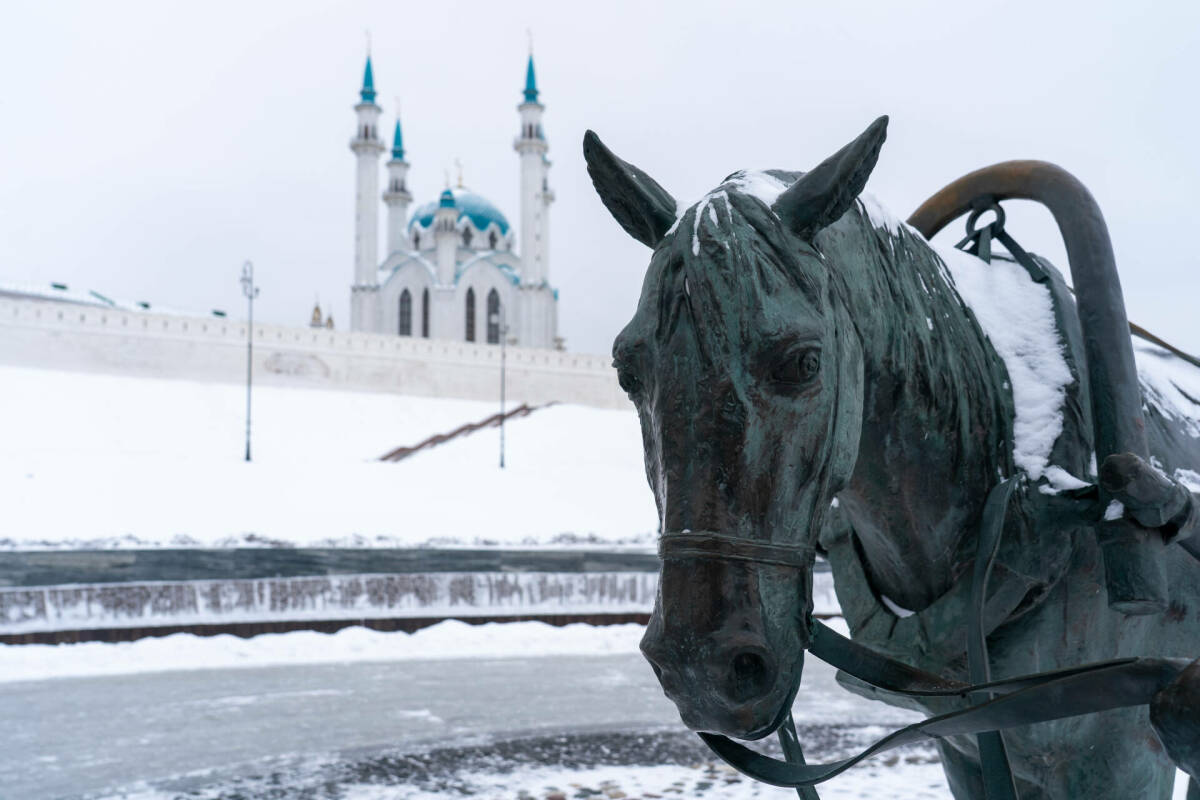 Лошади в городе: где в Татарстане искать символ года, чтобы попросить удачи