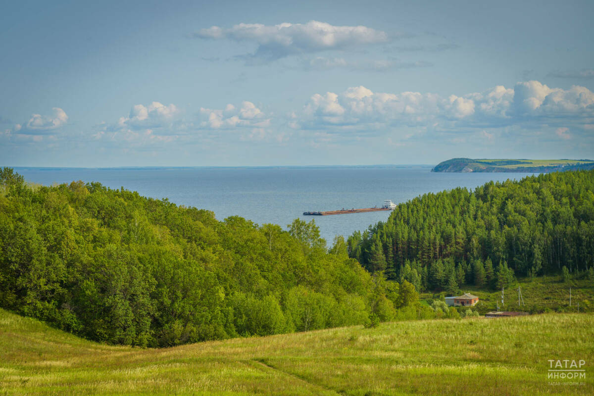 Благодаря изменениям Лесного кодекса Татарстан улучшит санитарное состояние лесов