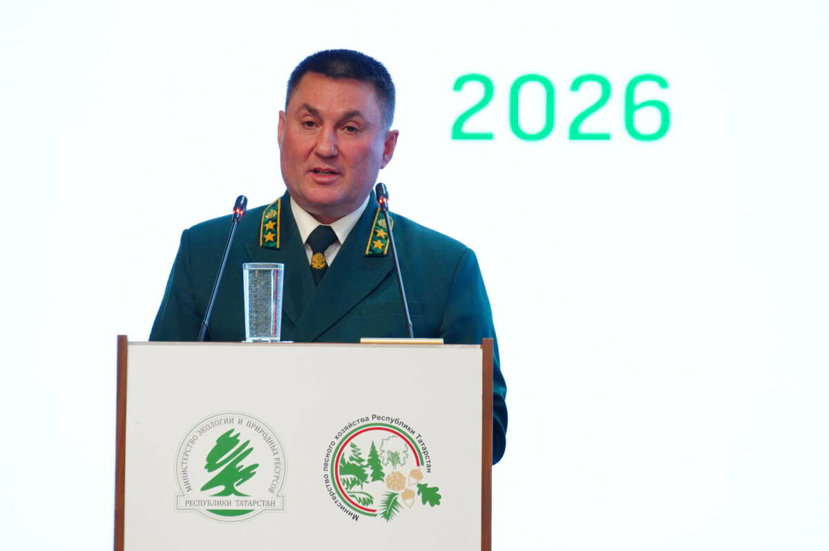 За год в Татарстане работы по воспроизводству лесов проведены на 5,3 тыс. га