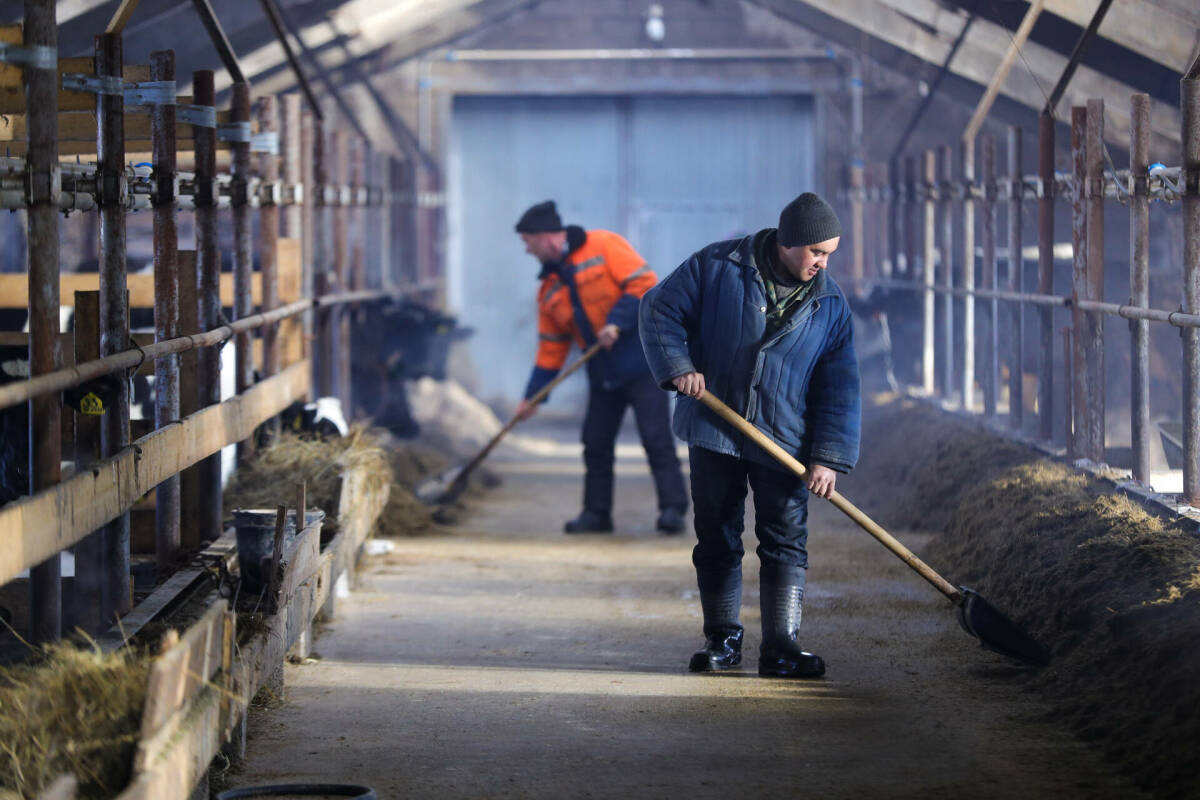 «Жизнь фермерских хозяйств не из легких»: почему в Татарстане снижается число КФХ