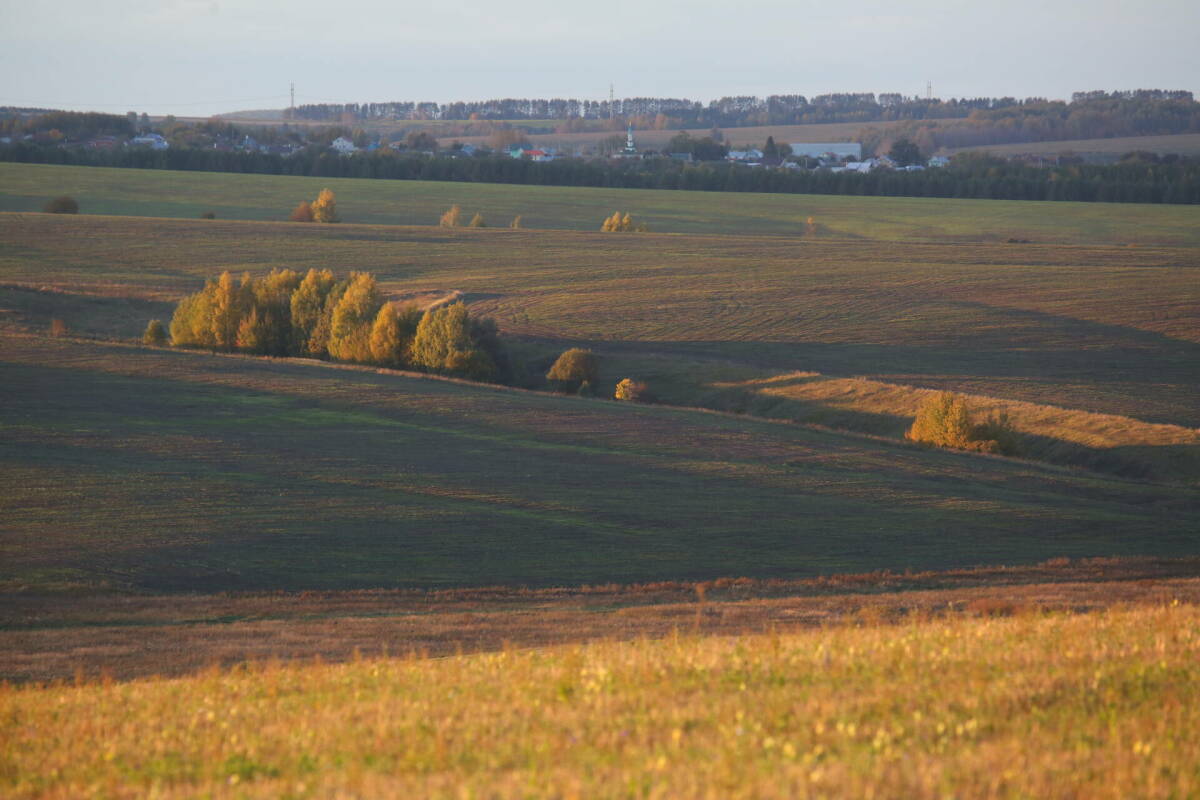 Земельный надзор в Татарстане в 2025 году охватил почти 8% сельхозземель