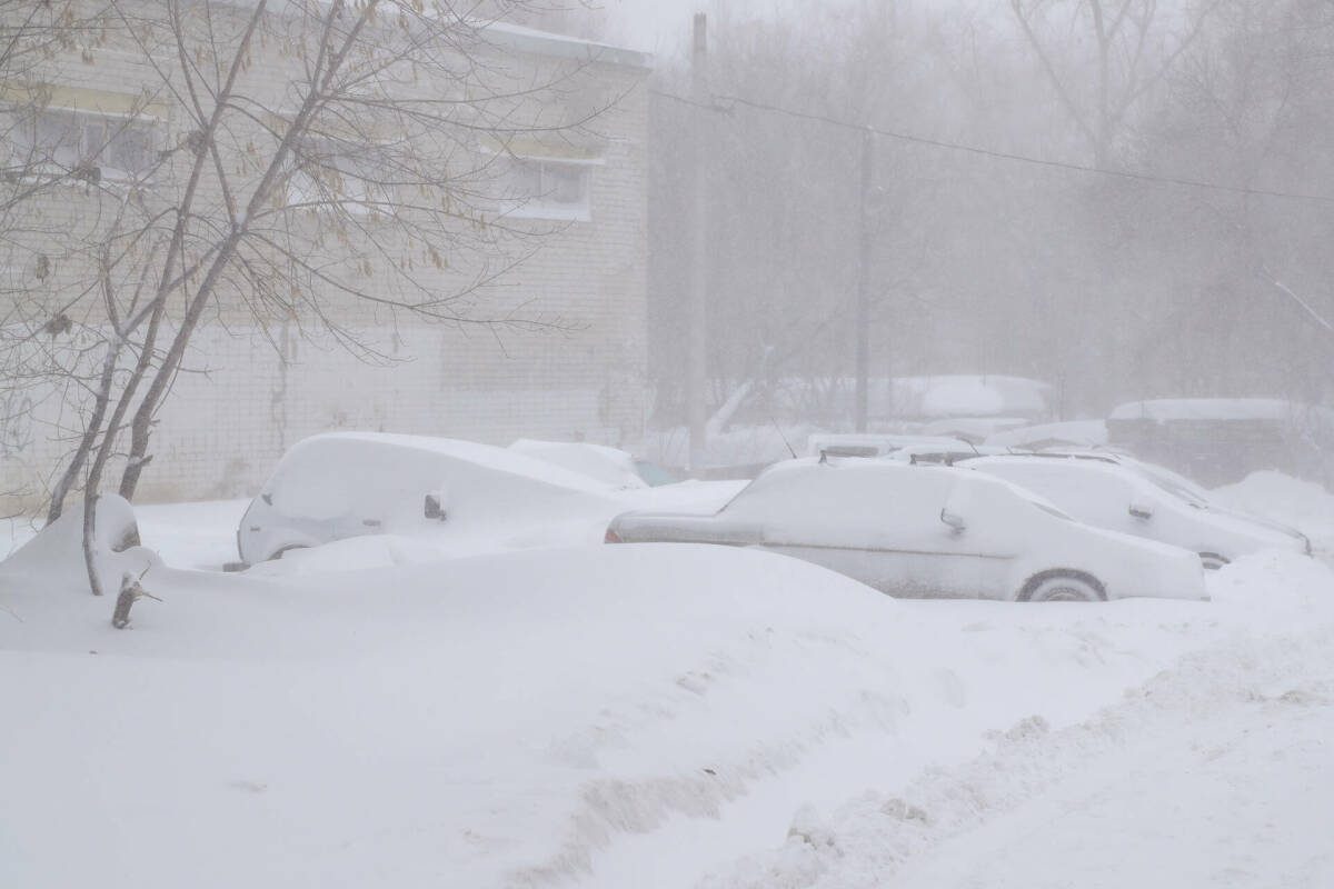 Гидрометцентр РТ: Метели в Татарстане не утихнут до утра понедельника