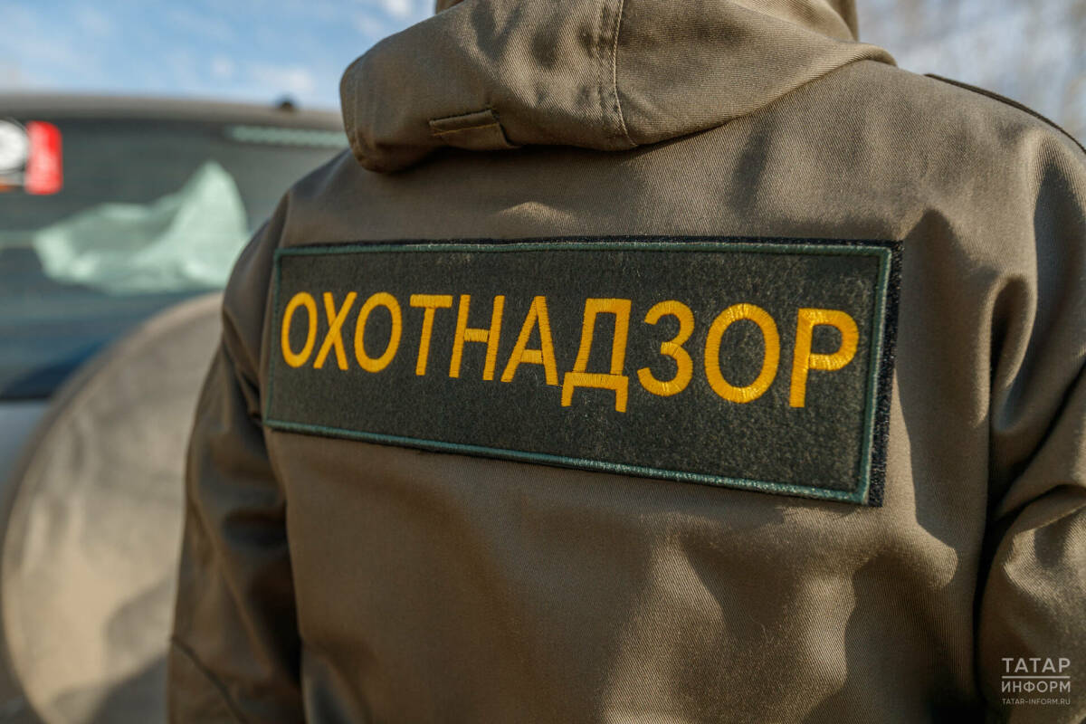 Сезон охоты на боровую, степную и полевую дичь в Татарстане завершается сегодня