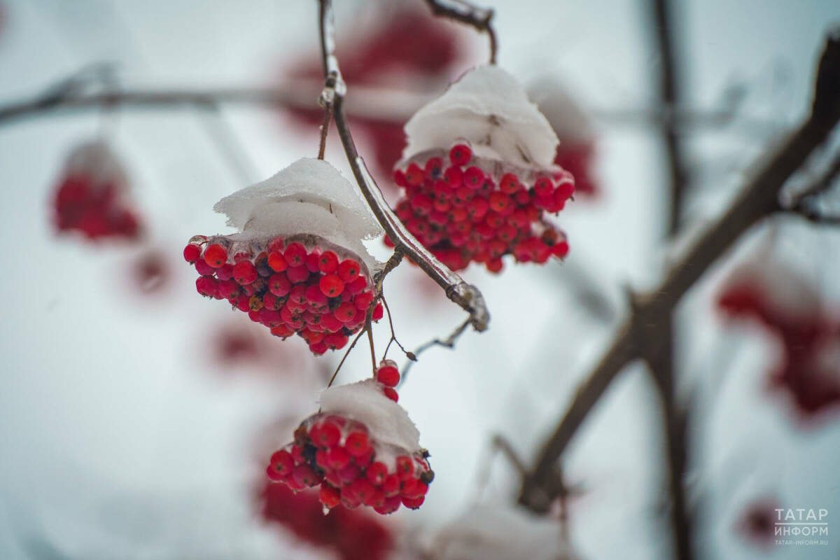 Метель, гололед и порывистый ветер прогнозируют в Татарстане 8 января