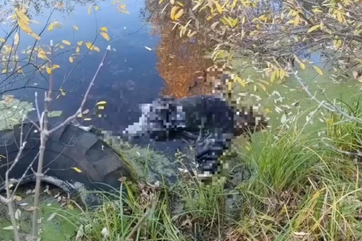 Неизвестного мужчину нашли мертвым на болоте у автосалона в Казани